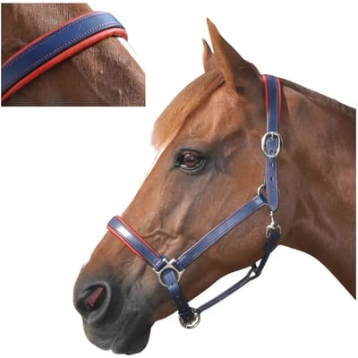 Gevoerd lederen halster voor paarden Canter