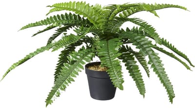 Kunstplant Nephrolepis/Varen H35cm - HTT Decorations kunstplanten