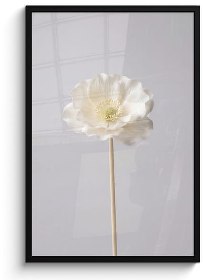 Poster in lijst - Fotolijst 60x90 cm - Posters - Bloem - Minimalistisch -Wit - Posterlijst zwart - Decoratie - Wanddecoratie woonkamer - Muurdecoratie slaapkamer