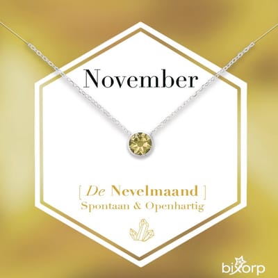 Bixorp Geboortesteen Ketting November - Zilverkleurig Roestvrij Staal met Zirkonia Hanger - Stainless Steel - Citrien