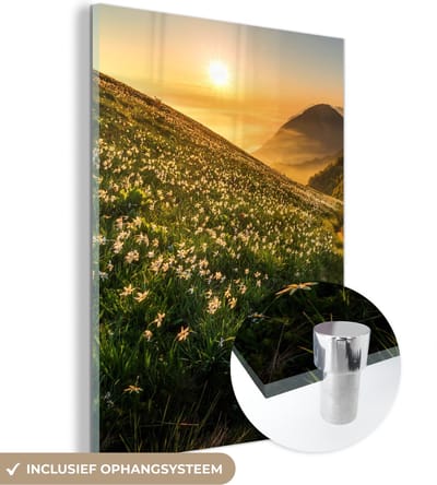 MuchoWow® Glasschilderij 30x40 cm - Schilderij acrylglas - Bloemen - Zon - Bergen - Foto op glas - Schilderijen