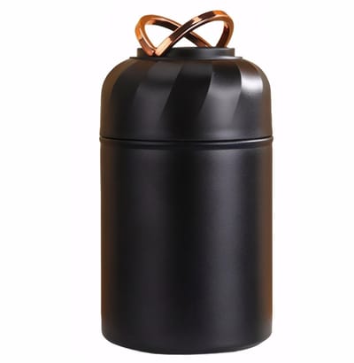 Dailygoods- Voedselpot 500ml - Geïsoleerd - Roestvrij staal - Voor kinderen/volwassenen - Thermische fles - Voor warme voedselsoep - Thermosfles