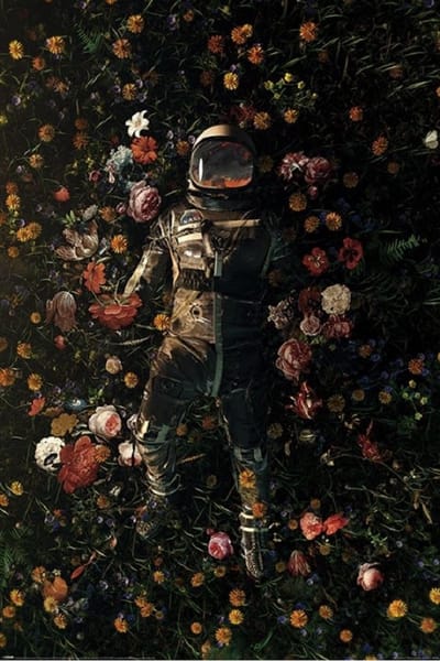 Nicebleed Garden of Delights - Maxi Poster