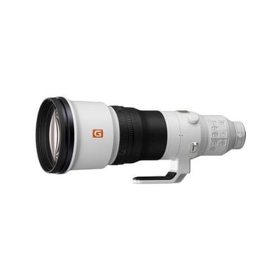 SEL 600mm f/4 GM OSS  Sony FE-vatting
