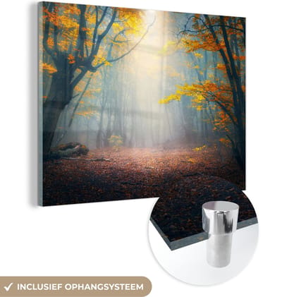 MuchoWow® Glasschilderij 120x90 cm - Schilderij acrylglas - Bos - Mist - Herfst - Foto op glas - Schilderijen