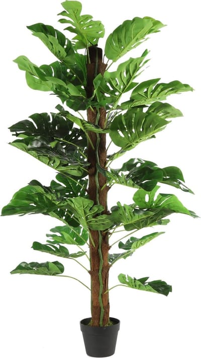 Countryfield kunstplant Monstera L