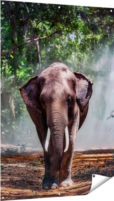 Gards Tuinposter Olifant in het Bos - 100x150 cm - Tuindoek - Tuindecoratie - Wanddecoratie buiten - Tuinschilderij