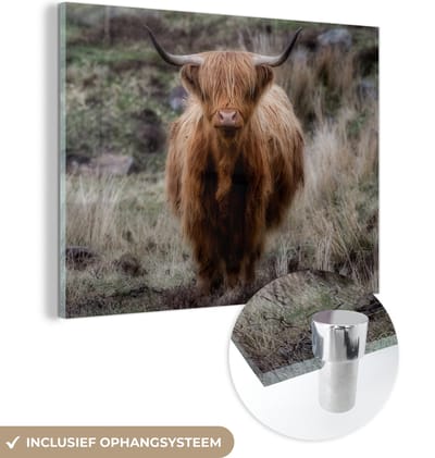 MuchoWow® Glasschilderij 160x120 cm - Schilderij acrylglas - Schotse Hooglander - Mos - Gras - Foto op glas - Schilderijen