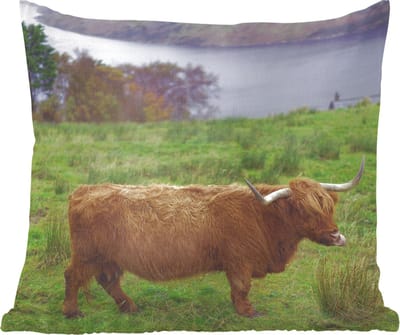 Sierkussens - Kussentjes Woonkamer - 60x60 cm - Schotse Hooglander - Gras - Water -Dieren