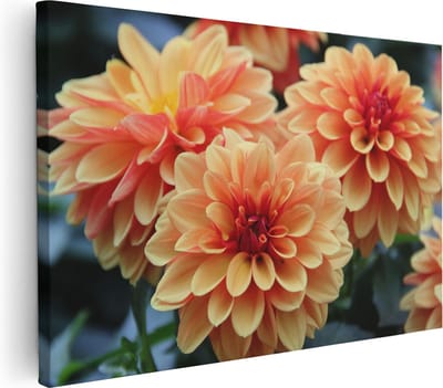 Artaza Canvas Schilderij Bloemen - 30x20 cm - Klein - Wanddecoratie Woonkamer - Muurdecoratie Dahlia's - Kamer Accessoires