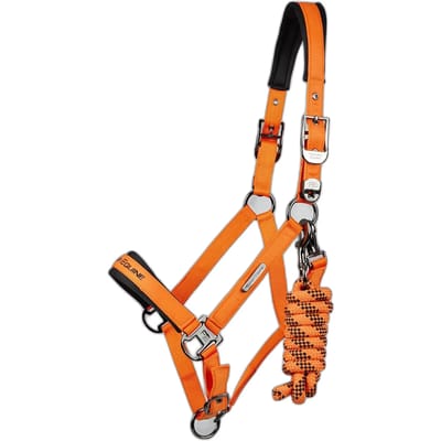 Nylon halster voor paard Premier Equine Duco