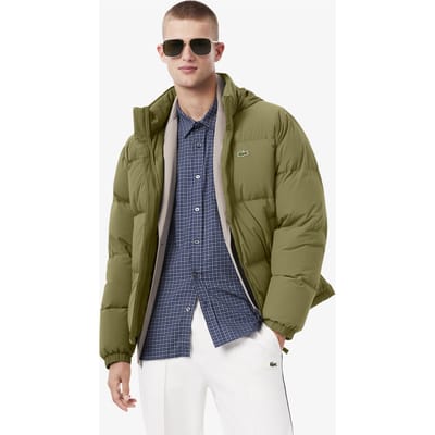 Lacoste Jacket Olive Size: 52 | Winter Jackets Outlet | Heren | Groen