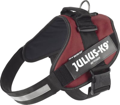 Julius K9 IDC Powertuig/Harnas - Maat 3/82-115cm - XXL - Bordeaux/Rood