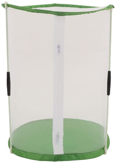 Dailygoods - Vlinders Habitats - Insecten Observatiekooi - Transparant en Ruimtelijk - Wit met Groen - Geschikt voor Vlinders en Insecten - 9 Accessoi...