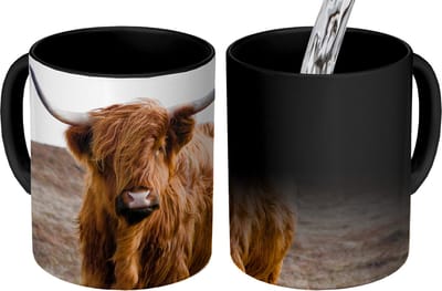 Magische Mok - Foto op Warmte Mokken - Koffiemok - Schotse hooglander - Landschap - Koe - Bruin - Dieren - Natuur - Magic Mok - Beker - 350 ML - Theemok