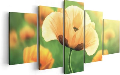 Artaza Canvas Schilderij Vijfluik Oranje Klaproos Bloemen  - 100x50 - Foto Op Canvas - Canvas Print