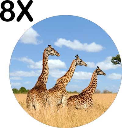 Luxe Ronde Placemat - Drie Giraffen in het Hoge Bruine Gras - Set van 8 Placemats - 50x50 cm - 2 mm dik Vinyl - Anti Slip - Afneembaar