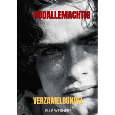 Godallemachtig - Elle Werners