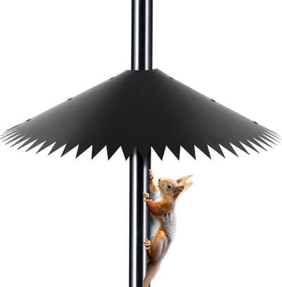 VT Goods - Eekhoornafscherming - Voederbak voor Vogels - Buitenpaalbevestiging - Zwart - Eekhoornbescherming - Vogelhuisjes - Geschikt voor Buiten -...