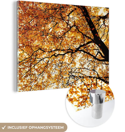 MuchoWow® Glasschilderij 40x30 cm - Schilderij acrylglas - Boom - Herfstbladeren - Seizoenen - Landelijk - Foto op glas - Schilderijen
