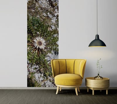 Fotobehang LittleDiscover DD116069 A.S. Création XXL 5 | 3D Fotobehang