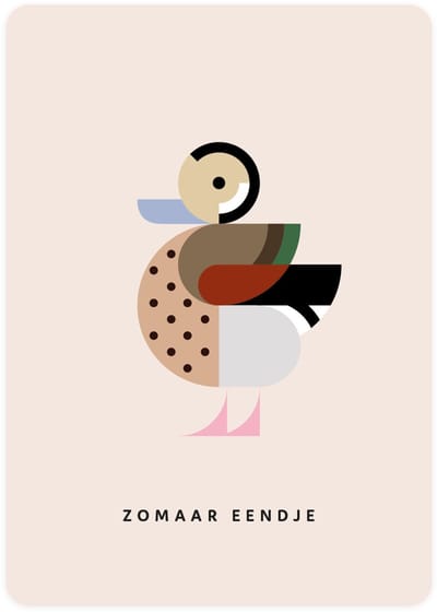 Zomaar eendje - 4x leuke verjaardagskaarten om te versturen - kaartenset - kaart met Roodschoudertaling - vier kaarten met vogels