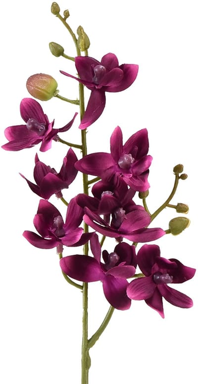 Kleine orchidee Phalaenopsis kunstbloem donkerpaars 30cm
