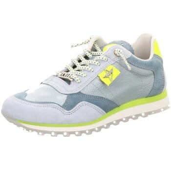 Sneakers Cetti -