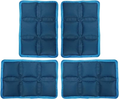 Koelaccu Lunchbox - Ijszak Herbruikbaar - Maaltijden Koel Houden - Lekvrij Ontwerp - 14 cm - Blauw