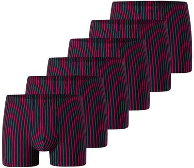 Schiesser Heren retro short / pant 6 pack 95/5 Essentials Cotton