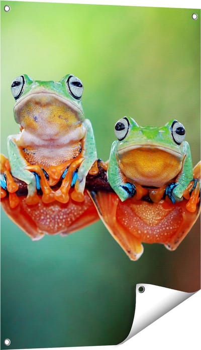 Gards Tuinposter Twee Boomkikkers op een Tak - 60x90 cm - Tuindoek - Tuindecoratie - Wanddecoratie buiten - Tuinschilderij