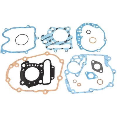 Maxiscooter motor pakking Artein Peugeot 125 Citystar +2009 Geopolis +2007 Satelis +2004