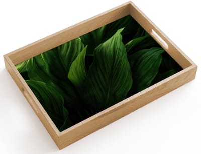Dienblad hout 40x30 cm - Schootdienblad - Bladeren - Schaduw - Groen - Textuur - Borrelplank rechthoek - Plateau dienbladen