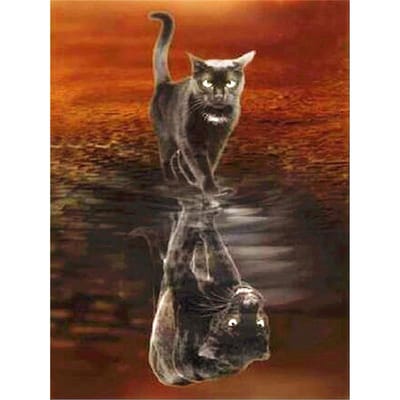 5D Diamond Mozaïek Dier Kat Panter 5D Diamond Painting Kit Diamond Borduren 30X40CM