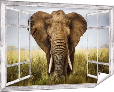 Gards Tuinposter Doorkijk Olifant in het Wild - Kleur - 150x100 cm - Tuindoek - Tuindecoratie - Wanddecoratie buiten - Tuinschilderij