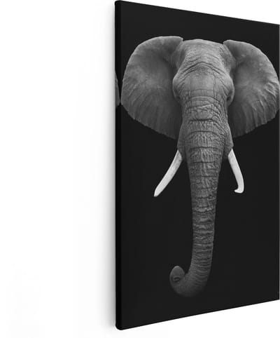 Artaza Canvas Schilderij Olifant - 80x120 cm - Groot - Wanddecoratie Dieren - Muurdecoratie Zwart Wit - Schilderijen Op Canvas
