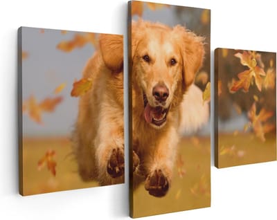Artaza Canvas Schilderij Drieluik Golden Retriever Hond In De Herfst Bladeren - 90x60 - Foto Op Canvas - Canvas Print