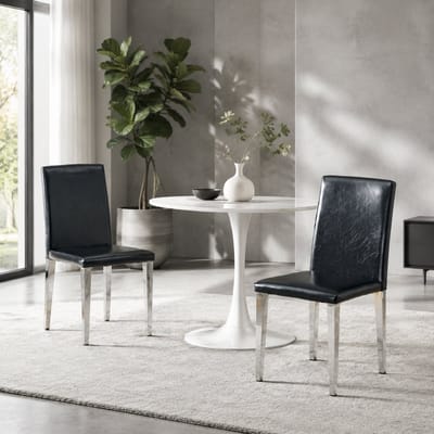Eetkamerstoelen - Set Van 2 - PU Leer - Gestoffeerde eetkamerstoel - Eetkamerstoel - Met rugleuning - Eettafelstoel - Eetkamerstoelen - Stoel - Moderne stijl - Zwart, zilver