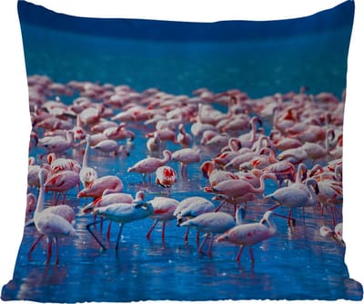 Tuinkussen - Flamingo - Water - Tropisch - Water - Roze - 40x40 cm - Weerbestendig