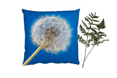 Sierkussens - Kussentjes Woonkamer - 40x40 cm - Paardenbloem - Bloem - Terras