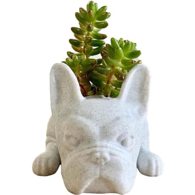Puppy Pot Decoratie Hars Pot Hond Bloemen Plantenpot white