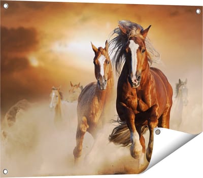 Gards Tuinposter Wilde Paarden in het Zand - 80x60 cm - Tuindoek - Tuindecoratie - Wanddecoratie buiten - Tuinschilderij