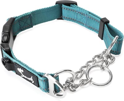 Reflecterende Verstelbare Martingale Hondenhalsband - Kauwbestendig met Metalen Ketting voor Kleine Honden (Maat S: 37.5-43cm) - Blauw