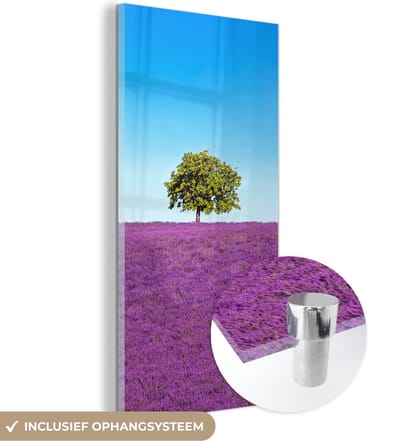 MuchoWow® Glasschilderij 20x40 cm - Schilderij acrylglas - Boom - Paars - Lucht - Lavendel - Foto op glas - Schilderijen