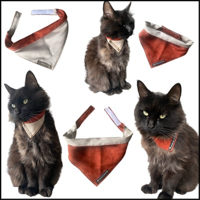 Bandana voor katten en kleine hondjes. Maat XXS in de kleuren roestbruin en beige. Dubbelzijdig te dragen. Halssjaal - halsdoek - dogscarf - hondenfashion - kattenfashion - hondenkleding - modeaccessoires voor huisdieren - ShukoGear by MadeByShuko