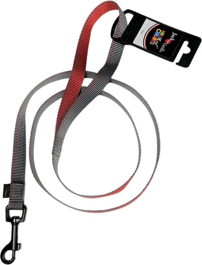 Jack and Vanilla Nylon Hondenriem - Maat L - Lengte 120 cm - Honden riem - Hondenriem - Rood / Grijs -