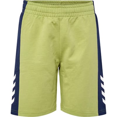 Korte broek voor kinderen Hummel Rush Block