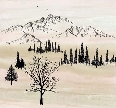 Fotobehang - Backcountry 300x280cm - Vliesbehang