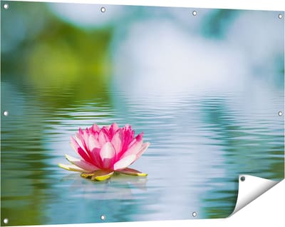 Gards Tuinposter Roze Lotusbloem op het Water - 120x80 cm - Tuindoek - Tuindecoratie - Wanddecoratie buiten - Tuinschilderij