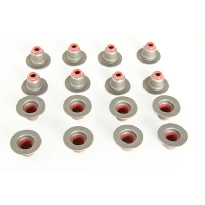 Victor Reinz Pakkingset, klepsteel REINZ 12-34439-01